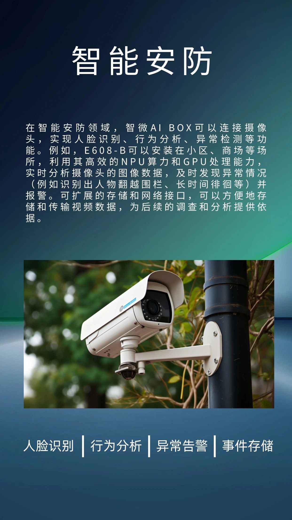 1744094744581672.jpg 9.jpg